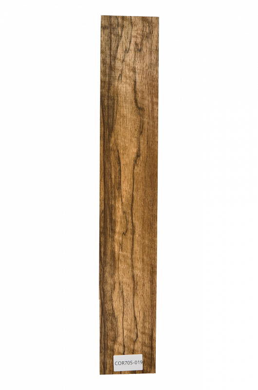 Hals Korina  695x110x50mm Einzelstück #019