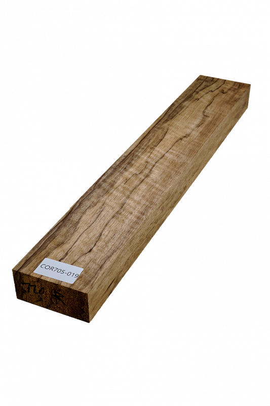 Hals Korina  695x110x50mm Einzelstück #019