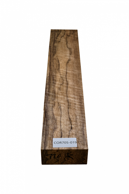 Hals Korina  695x110x50mm Einzelstück #019