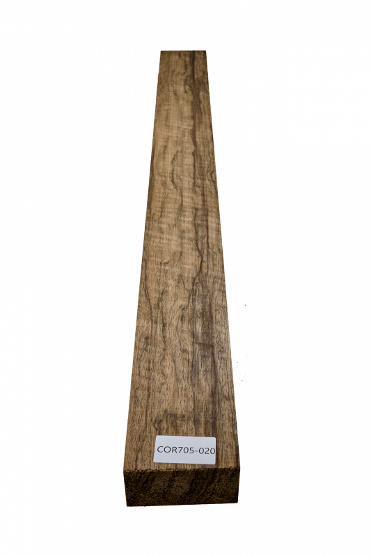 Hals Korina  1190x105x53mm Einzelstück #020
