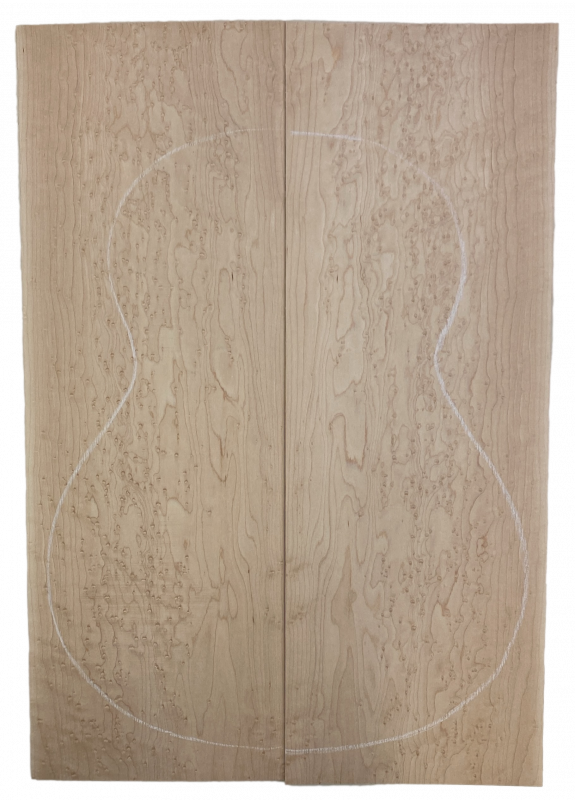 Back & Sides Bird's Eye Maple AAA white, Classic Size