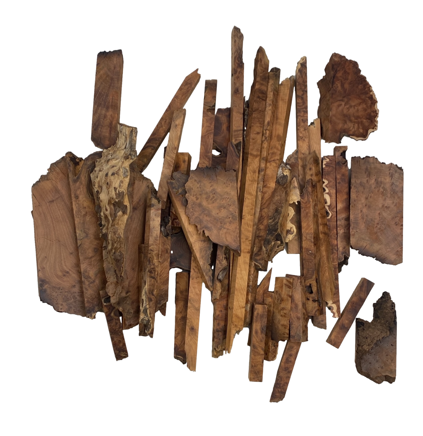 Thuya Maserknolle - 2kg