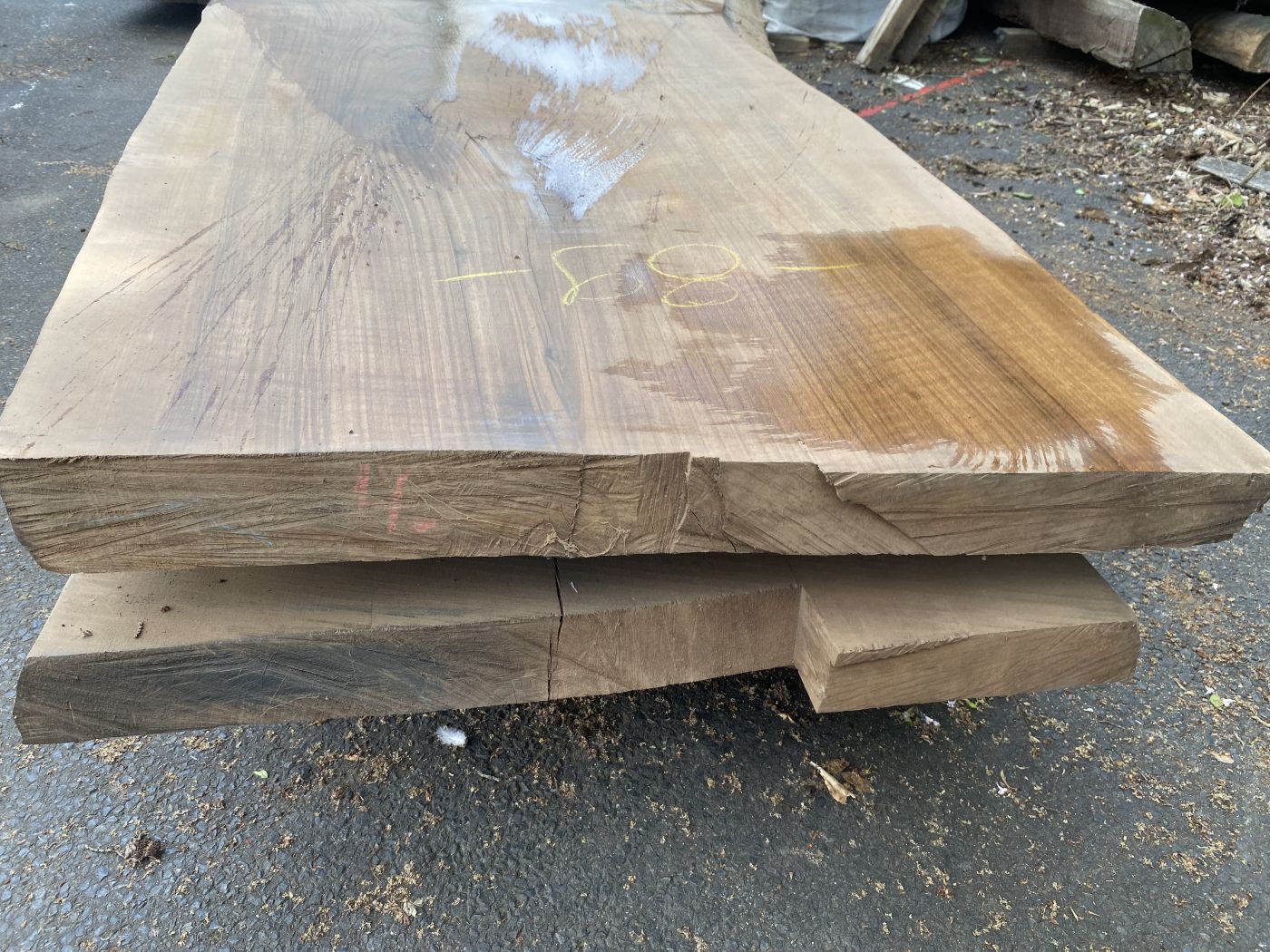 Table Slabe caucasian Walnut #4.2