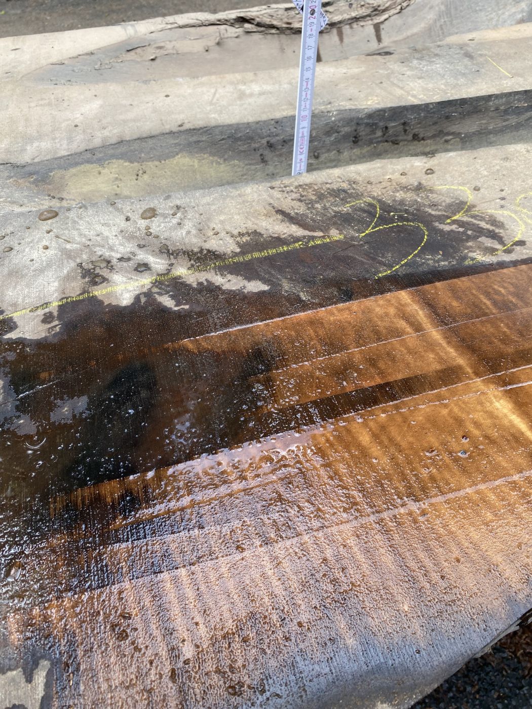 Table Slabe caucasian Walnut #4.1