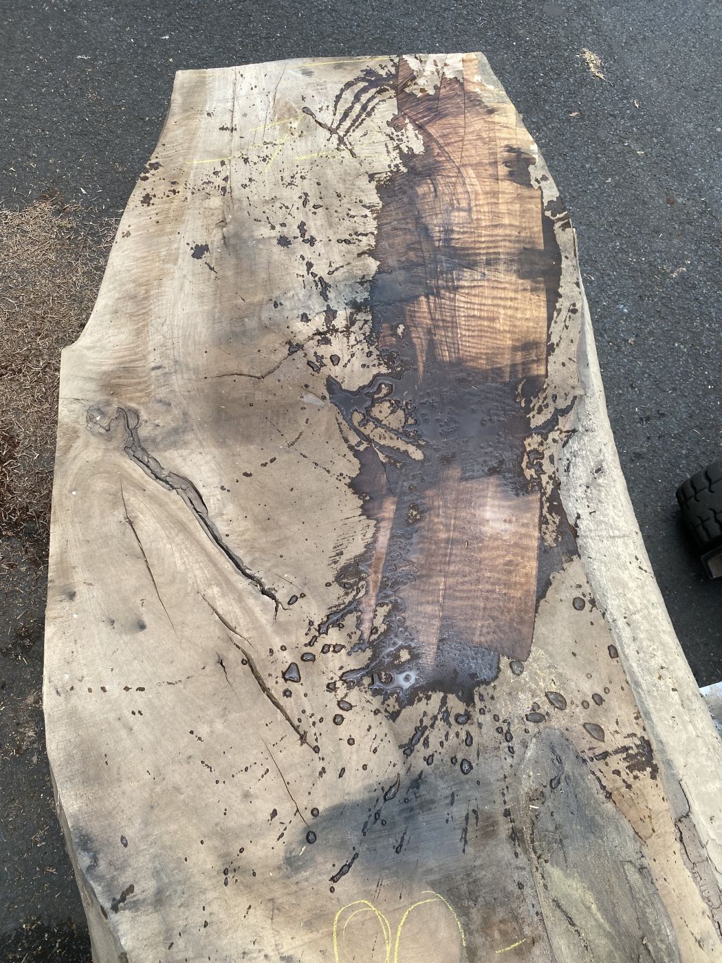 Table Slabe caucasian Walnut #4.1