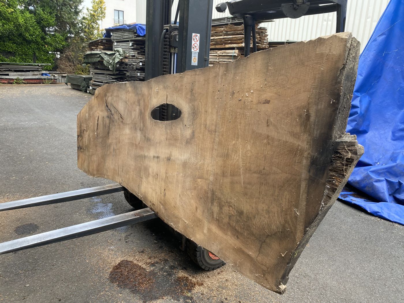Table Slabe caucasian Walnut #4.1