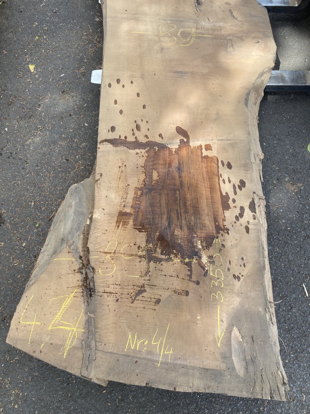Table Slabe caucasian Walnut #4.4