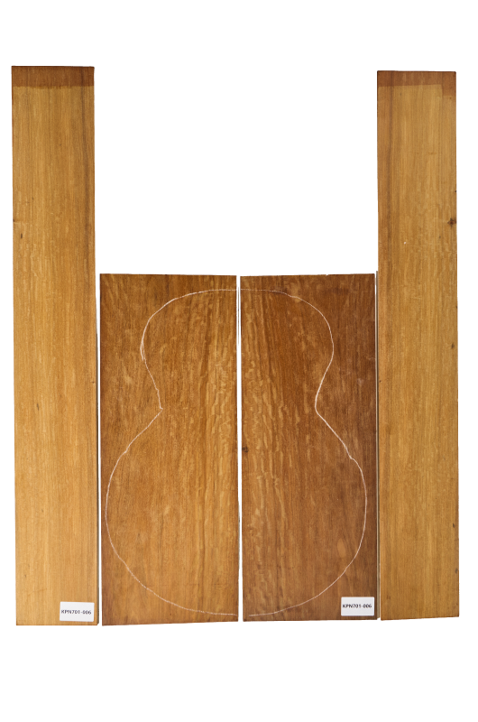 Back & Sides Caribbean Pernambuco, Western, FSC100% - #006