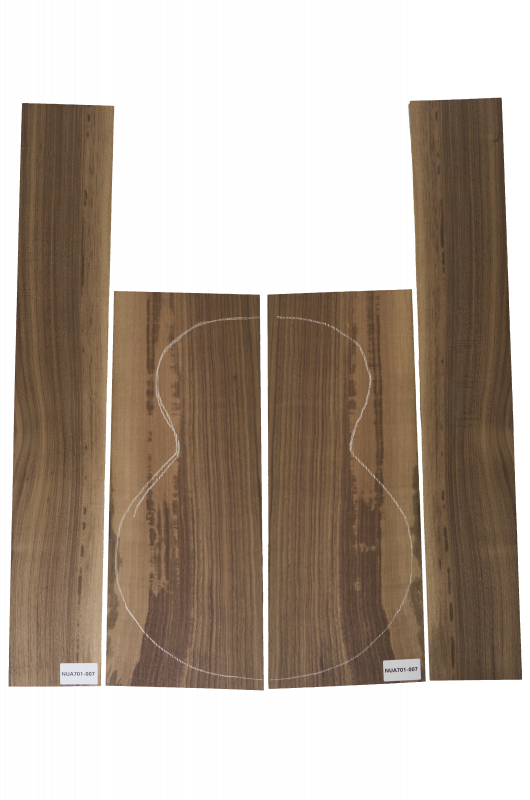 Boden & Zargen American Walnut Western Einzelstück #007