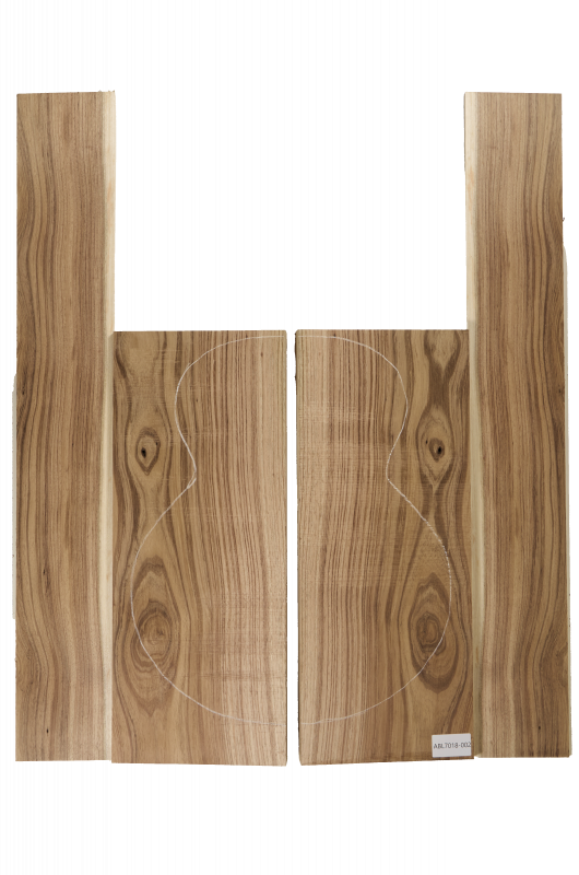 Boden & Zargen Aus. Blackwood Archtop Einzelstück #002