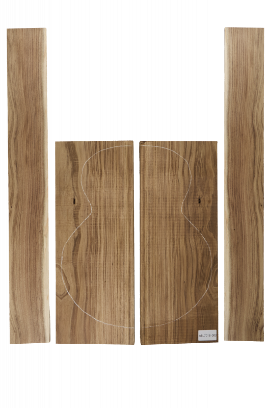 Boden & Zargen Aus. Blackwood Archtop Einzelstück #003