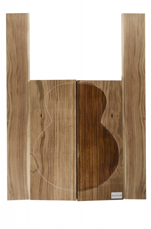 Boden & Zargen Aus. Blackwood Archtop Einzelstück #003