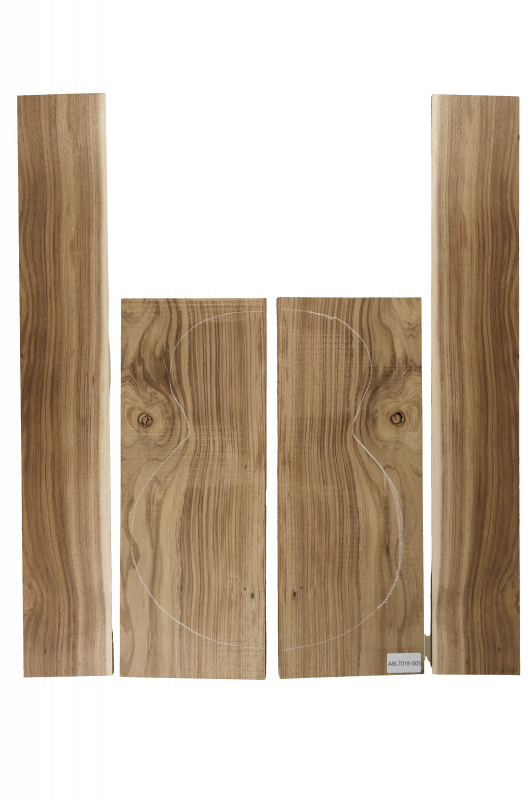 Boden & Zargen Aus. Blackwood Archtop Einzelstück #005