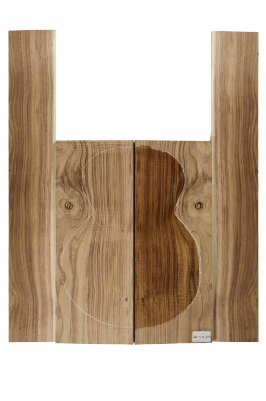 Boden & Zargen Aus. Blackwood Archtop Einzelstück #005