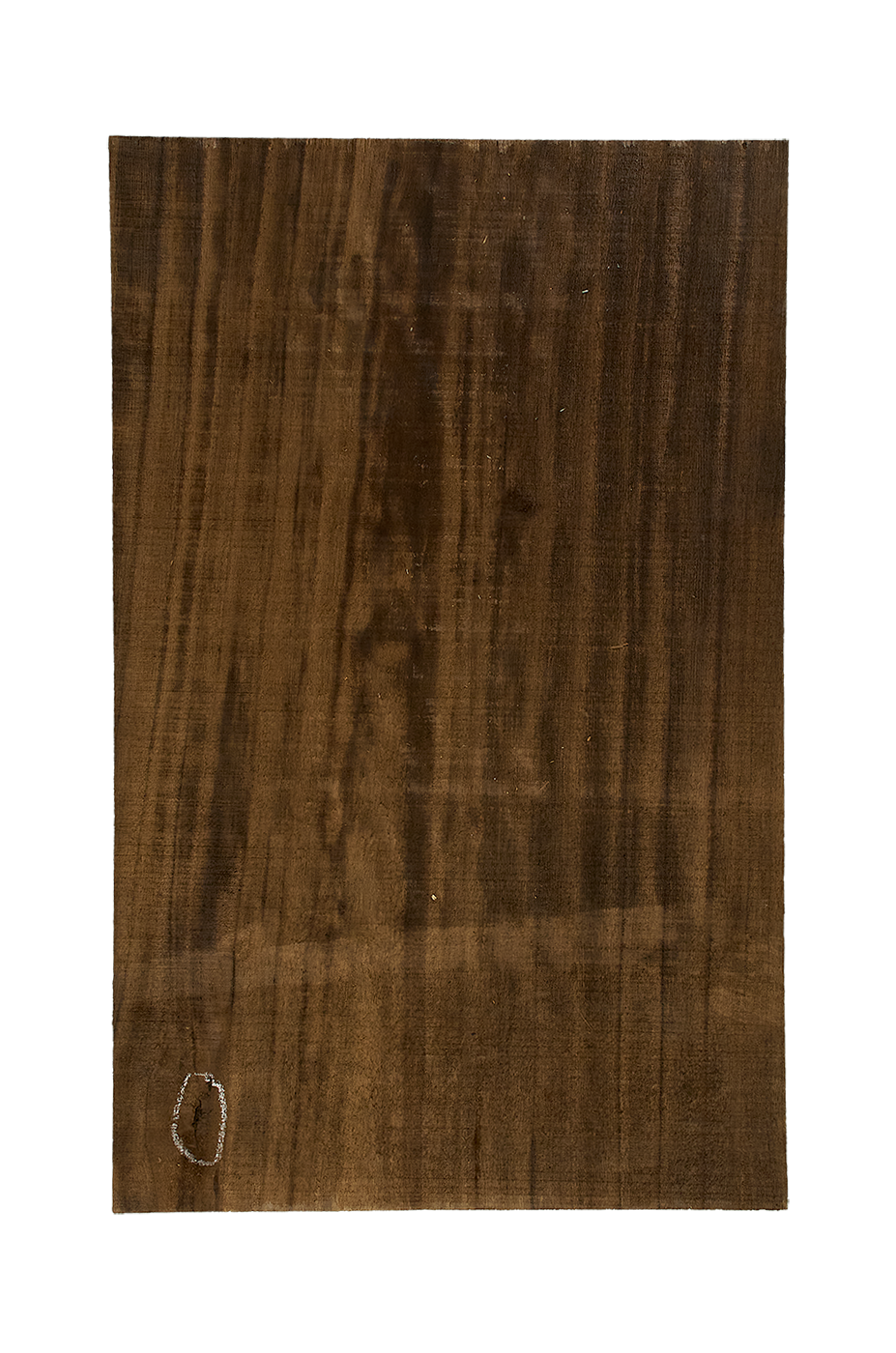 Body Paulownia, 1-pc., Caramel, Unique Piece #044