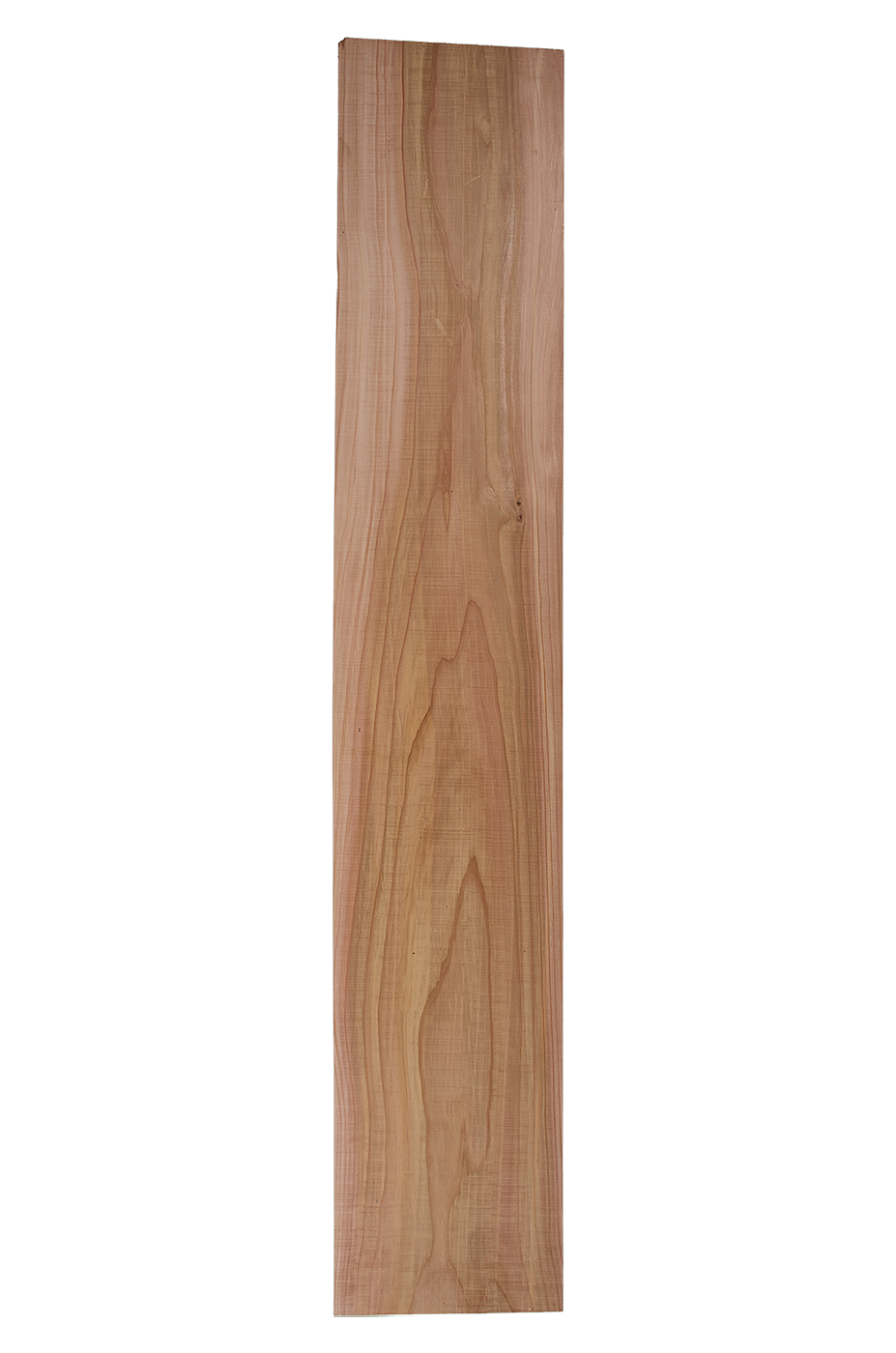 Body Western Red Cedar €, 2-pcs., Unique Piece #021