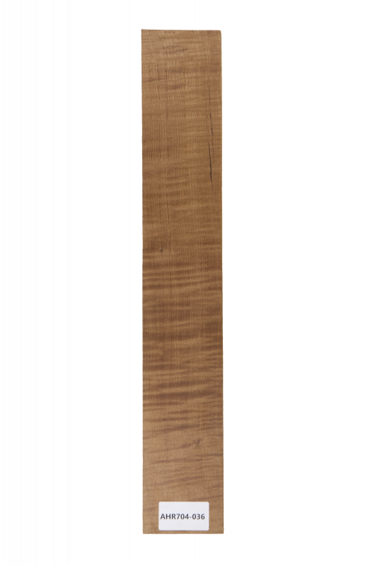 Sycamore / European Maple curly, roasted "Choco" 573x85x9mm Unique Piece #36