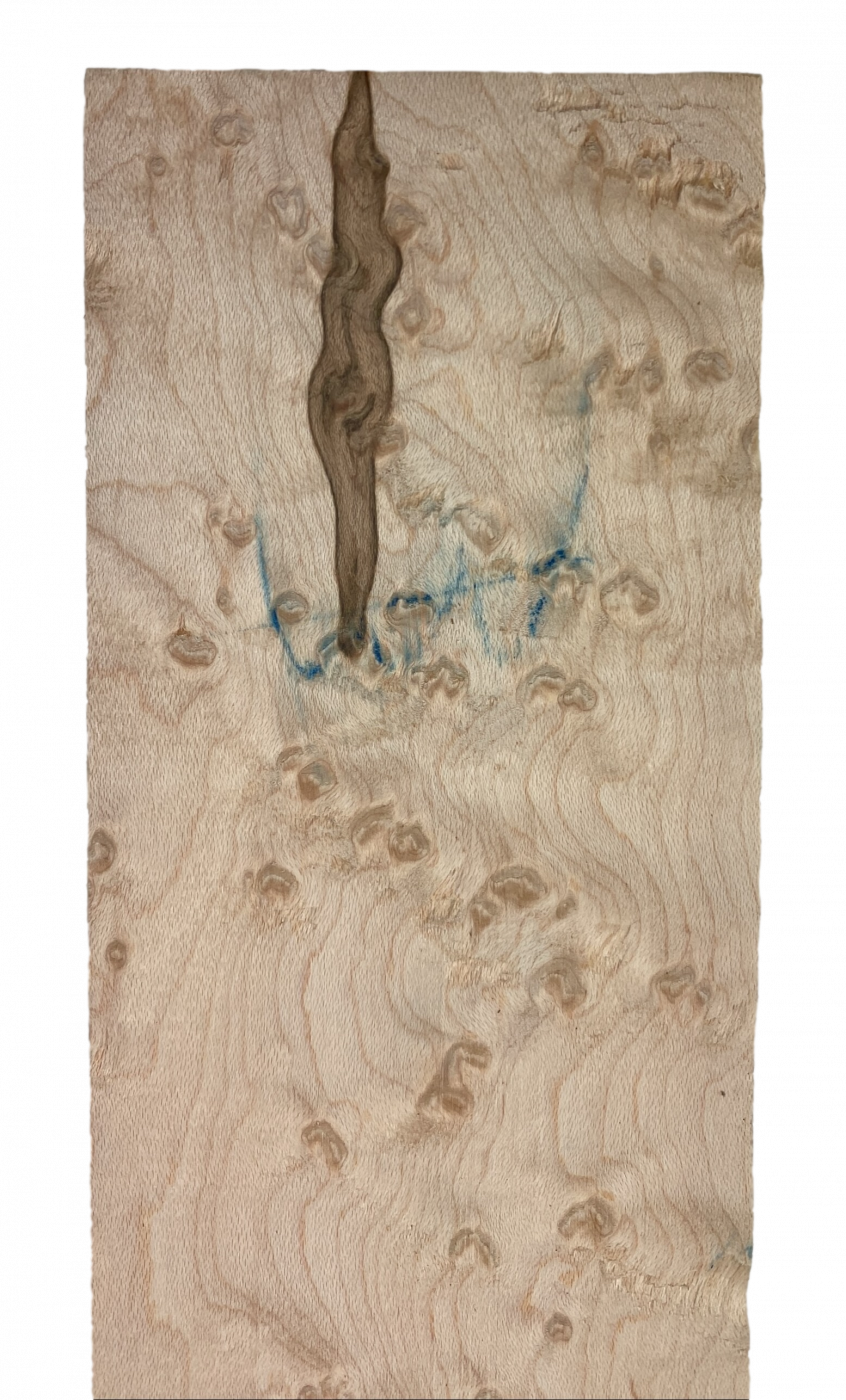 Fretboard Bird's Eye Maple white 720x83x9mm Unique Piece #007
