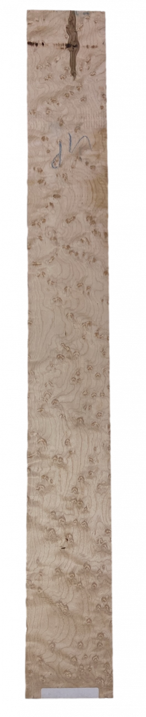 Fretboard Bird's Eye Maple white 720x83x9mm Unique Piece #007