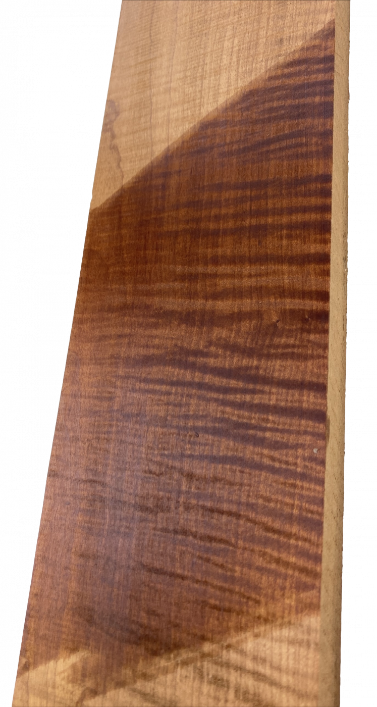 Neck Sycamore / Europ. Maple, curly, "Choco" - Unique Piece #292