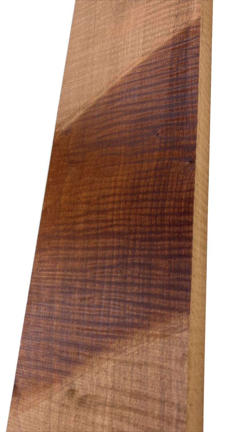 Neck Sycamore / Europ. Maple, curly, "Choco" - Unique Piece #294