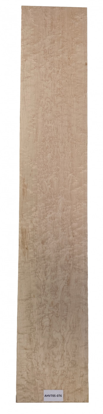 Neck Bird's Eye Maple, 1180x213x24mm, Unique Piece #076