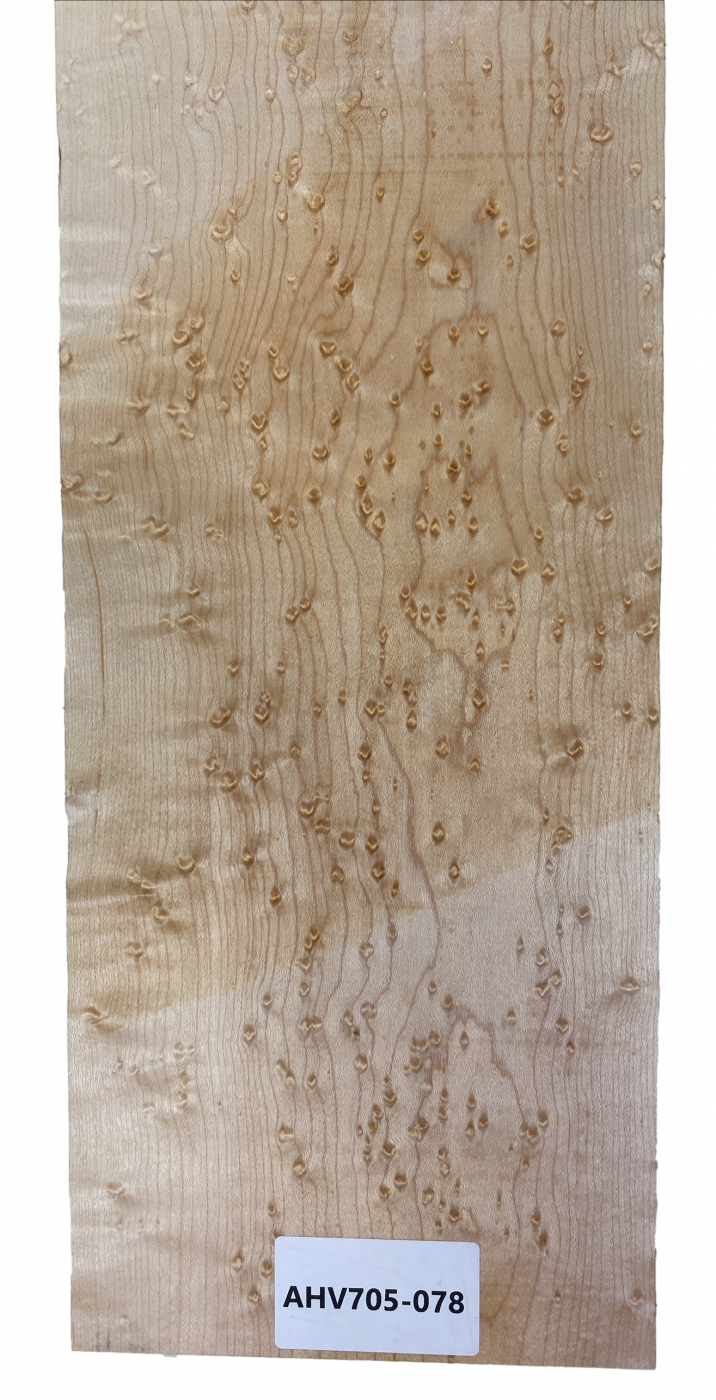 Neck Bird's Eye Maple, 1180x162x25mm, Unique Piece #078