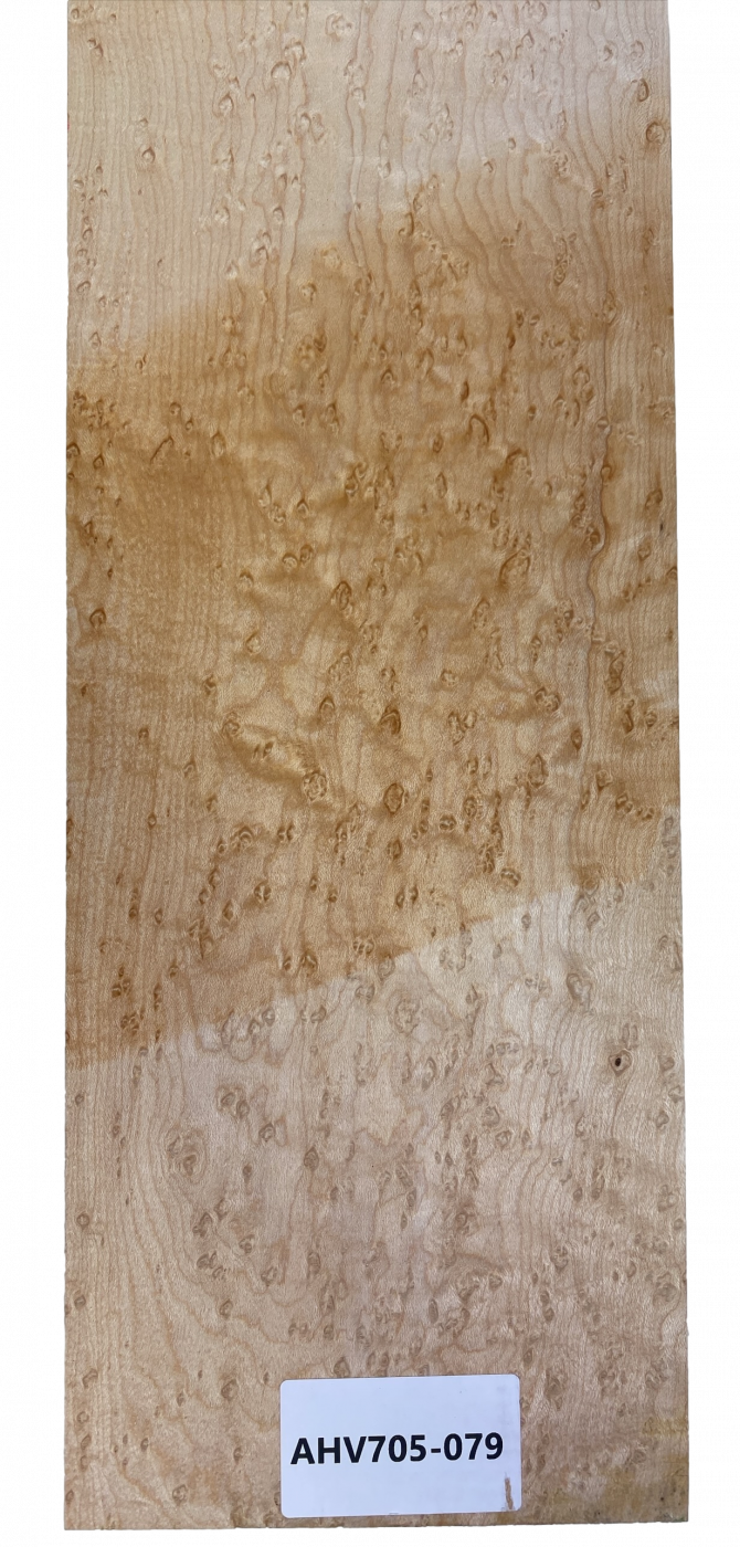 Neck Bird's Eye Maple, 1180x145x25mm, Unique Piece #079