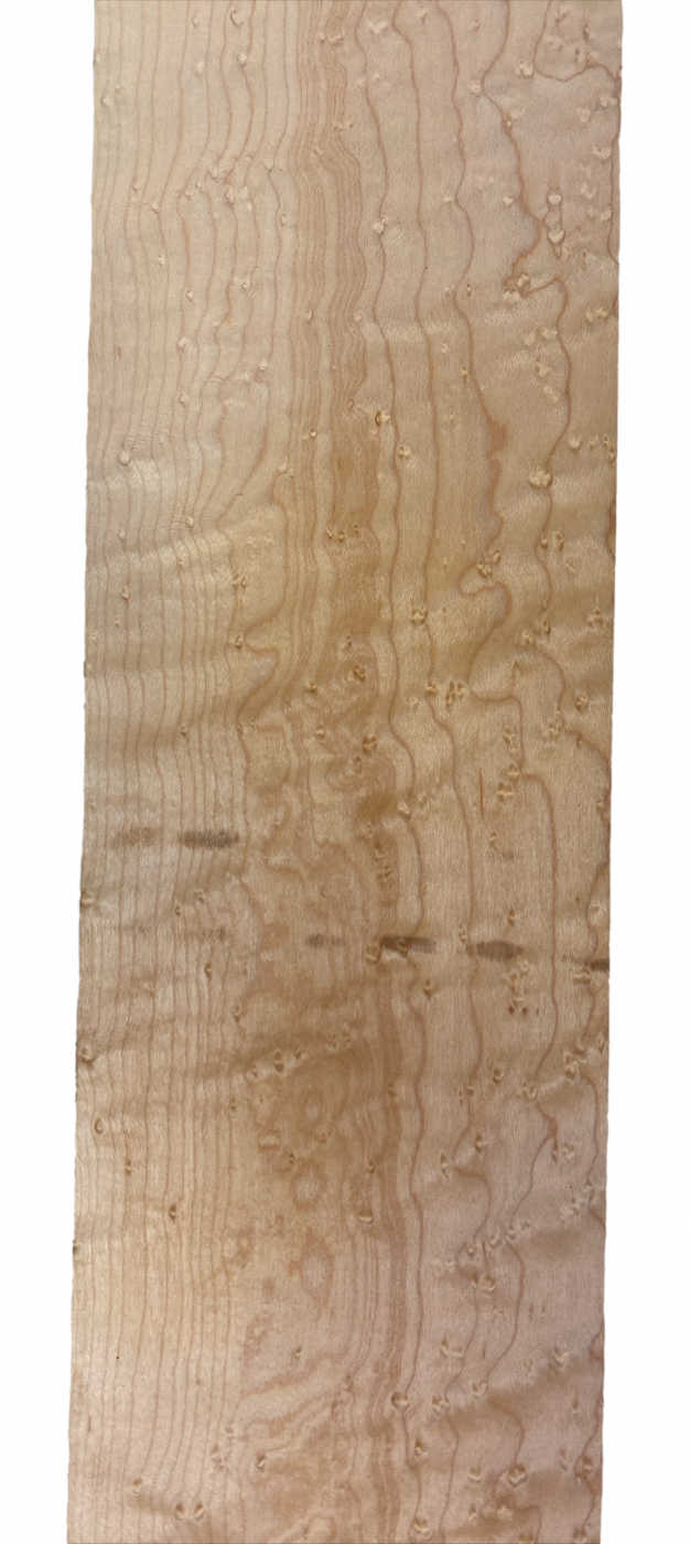 Hals Vogelaugenahorn, 720x110x26mm, Einzelstück #080