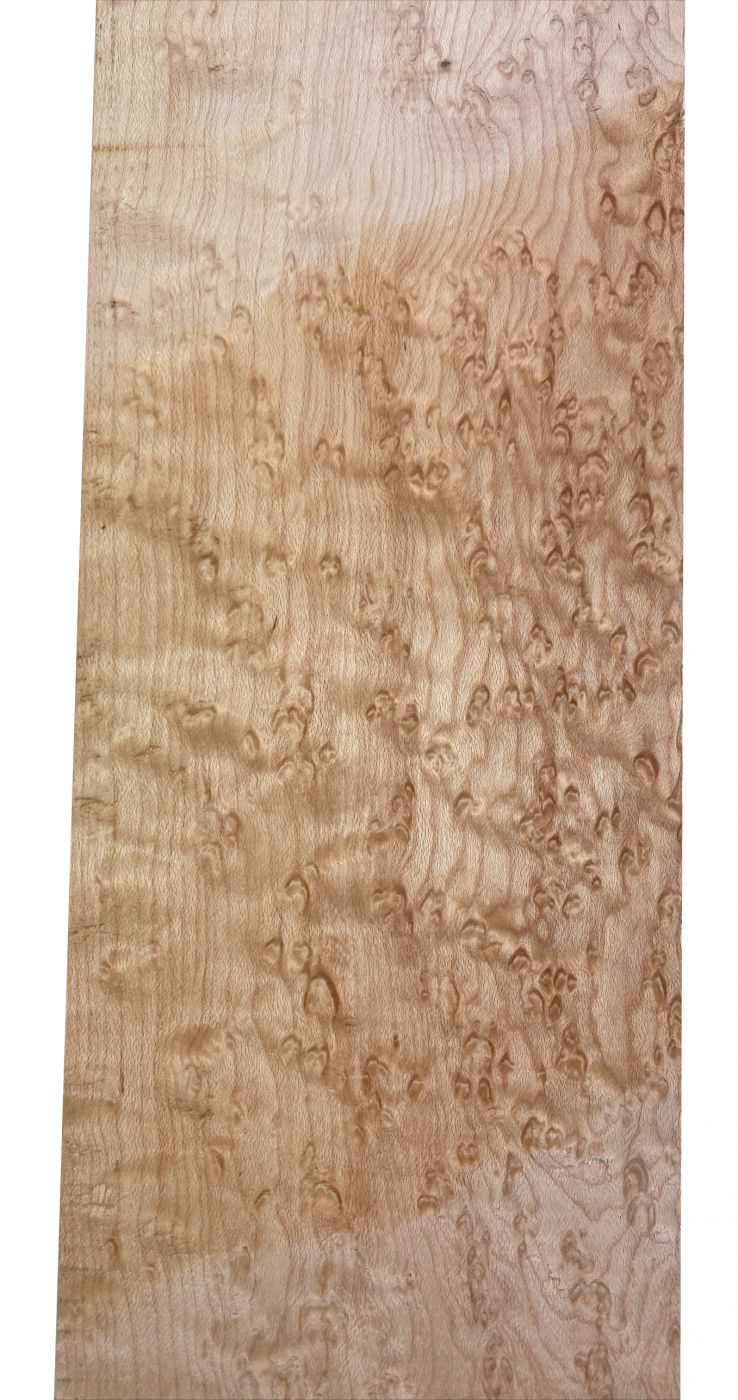Neck Bird's Eye Maple, 870x110x26mm, Unique Piece #084
