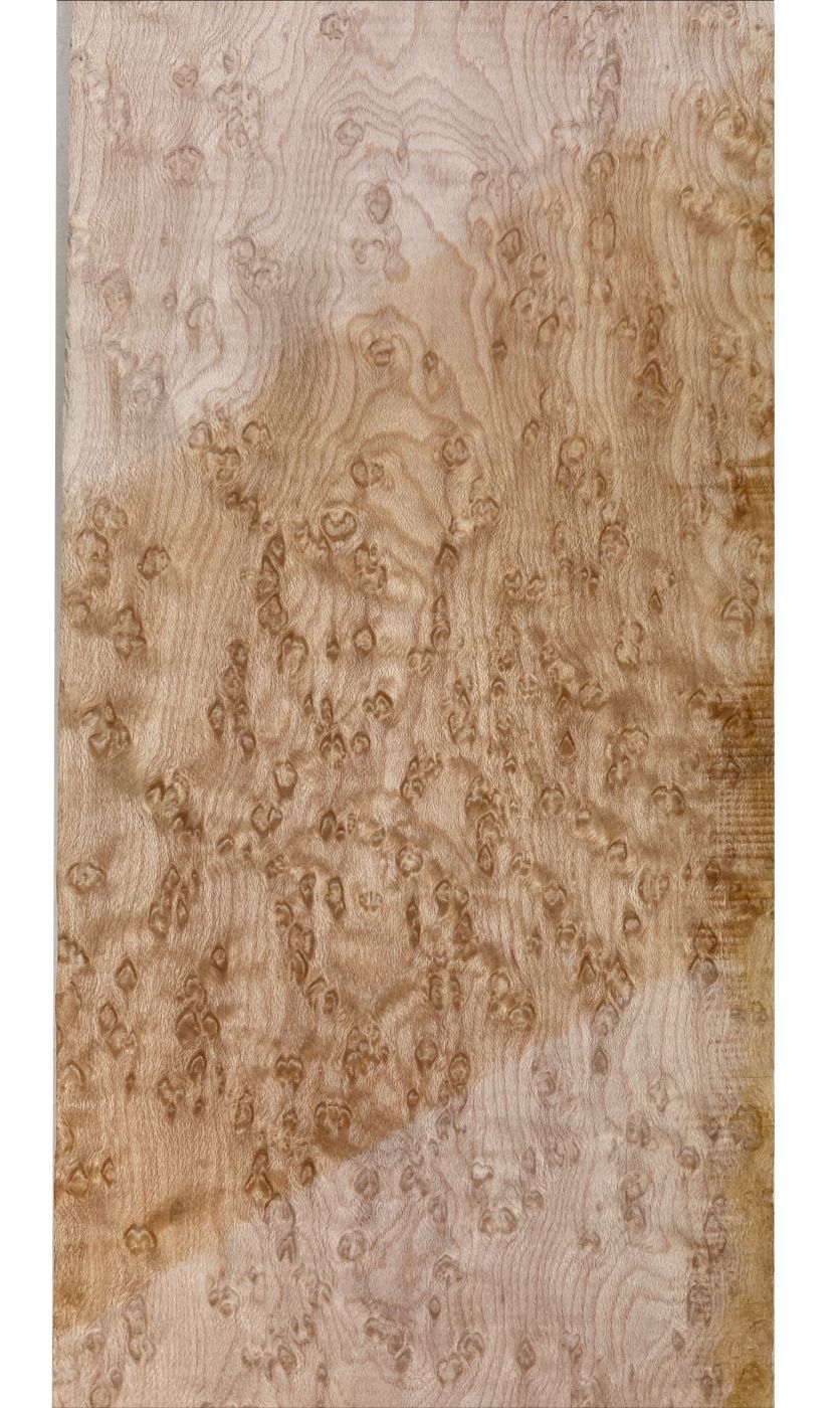 Neck Bird's Eye Maple, 870x127x26mm, Unique Piece #085