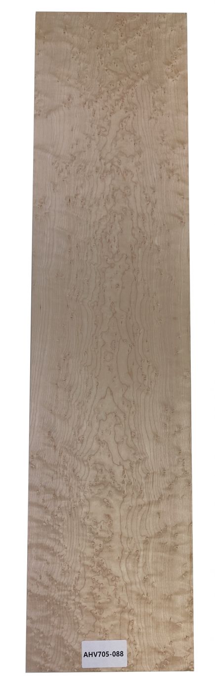 Hals Vogelaugenahorn, 870x210x26mm, Einzelstück #088