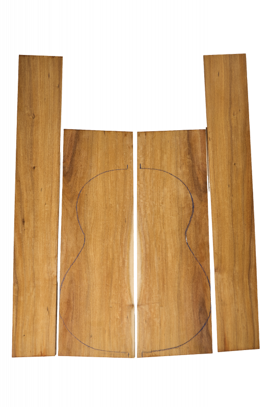 Back & Sides Carribean Pernambuco A Classic  - FSC®100%