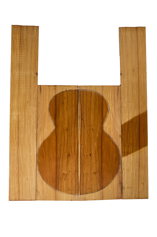 Boden & Zargen Fernambuk karib. AA, Western FSC®100%
