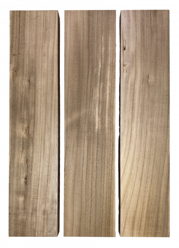 Body Paulownia Wood, Standard A, 3-tlg. unverleimt