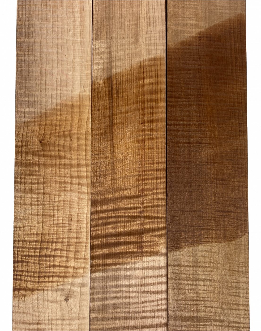 Fretboard Sycamore Curly, "Caramel" 4-string bass