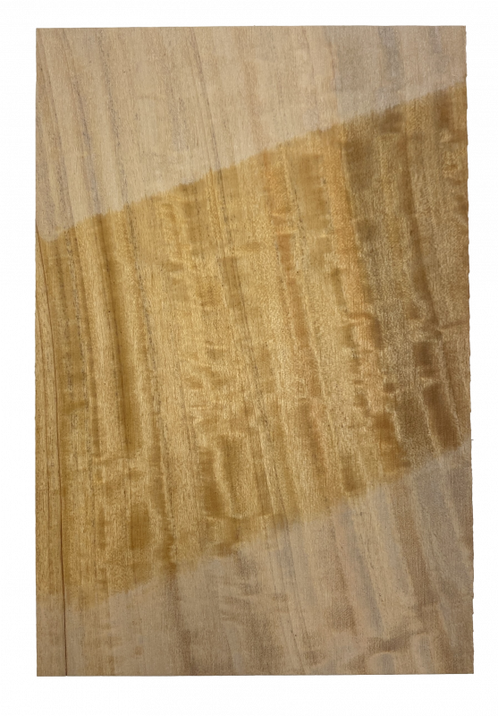 Head Stock Veneer Ceylonese Satinwood, figured