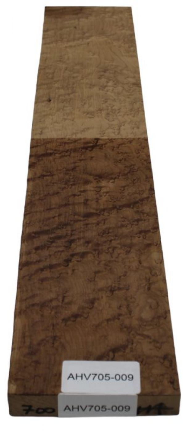 Hals Vogelaugenahorn roasted "Karamell"  Einzelstück #009
