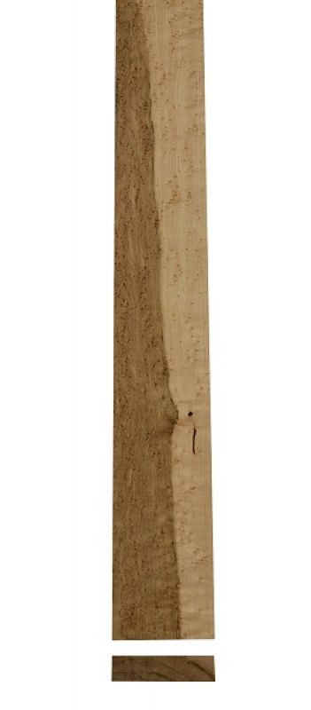 Neck Bird's Eye Maple brown-white AA 870x110x26mm