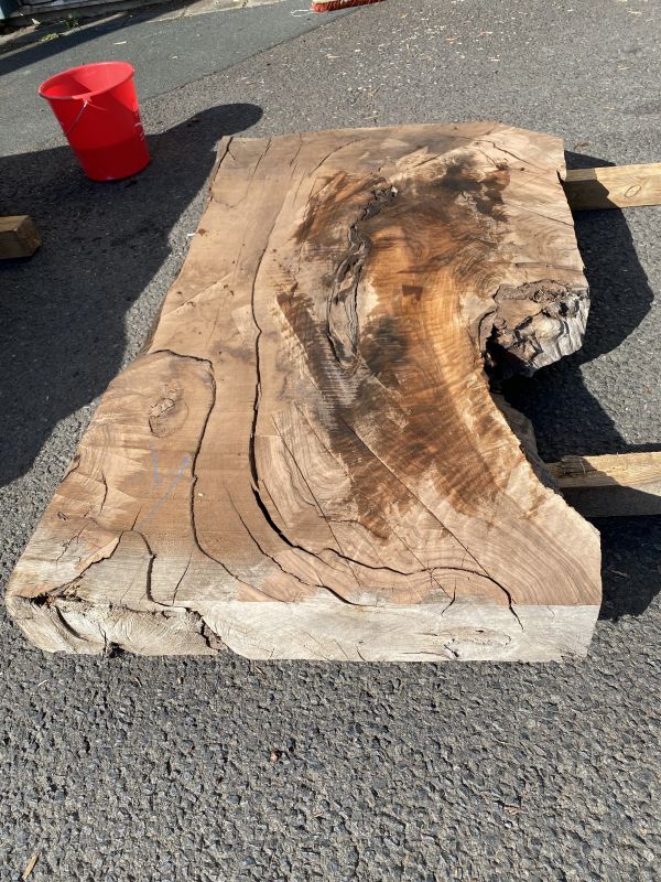 Table Slab Caucasian Walnut #03