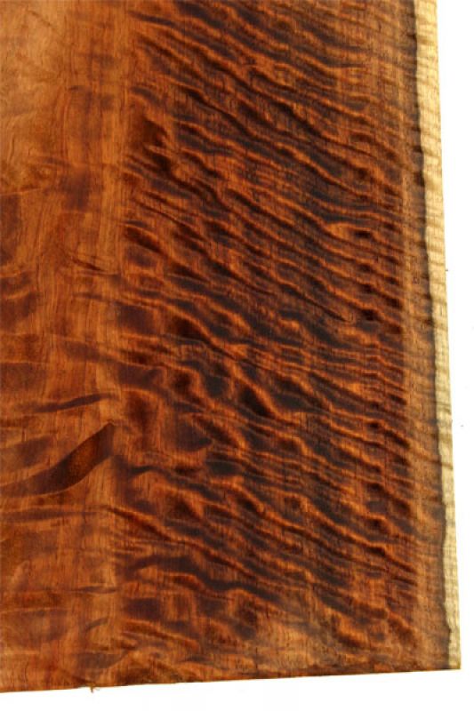 Back & Sides African Koa AAA flamed, Weissenborn