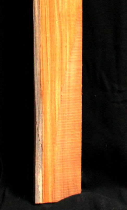 Messergriffrohling Osage argentinisch 125x40x30mm