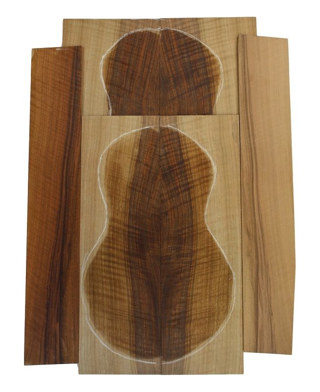 Set Walnut, Europ. AA for Concert Ukulele - FSC®100%